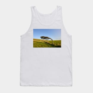 Windswept Tree Tank Top